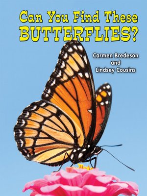 cover image of Can You Find These Butterflies?